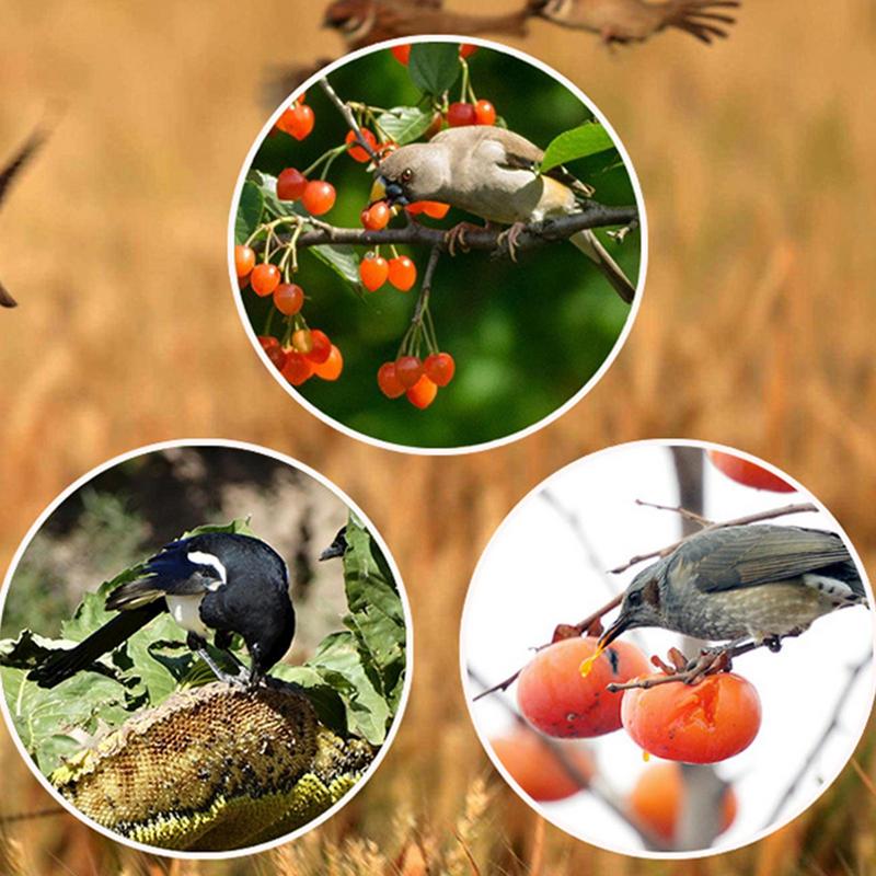 Solar Timer Bird Repeller With - Solar Bird Scarer のレビューと価格