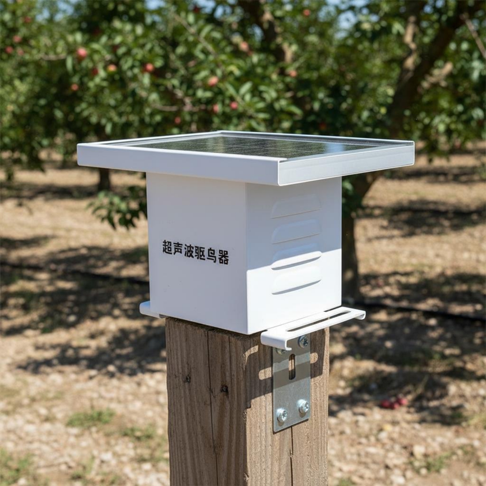 Solar High-Frequency Bird Repe - Solar Bird Scarer のレビューと価格